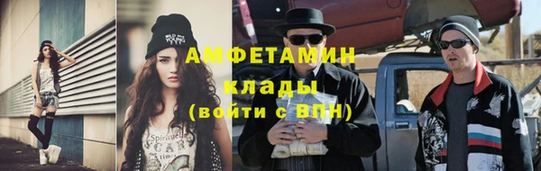 шишки Бородино