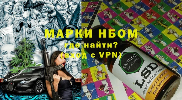 шишки Бородино
