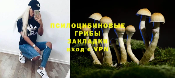 шишки Бородино