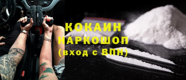 шишки Бородино