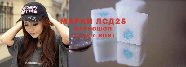 шишки Бородино