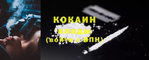 шишки Бородино