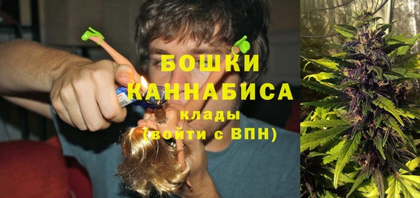 трава Бронницы
