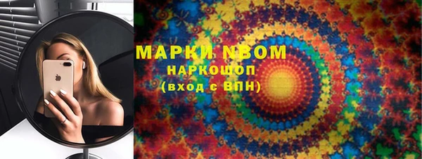 шишки Бородино