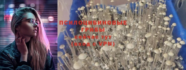 трава Бронницы