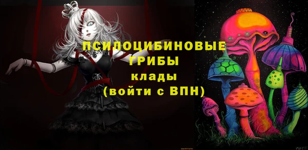 шишки Бородино