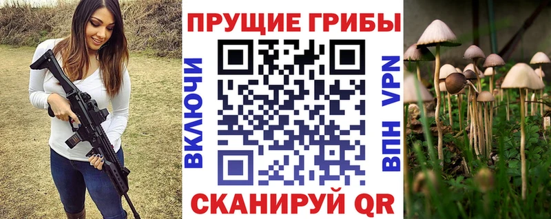 Купить где  Галич  Галлюциногенные грибы прущие грибы 